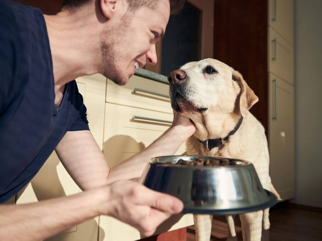 Best Dog Food For Heart Disease