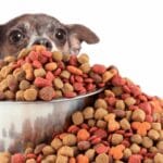 Canine Brewers Yeast