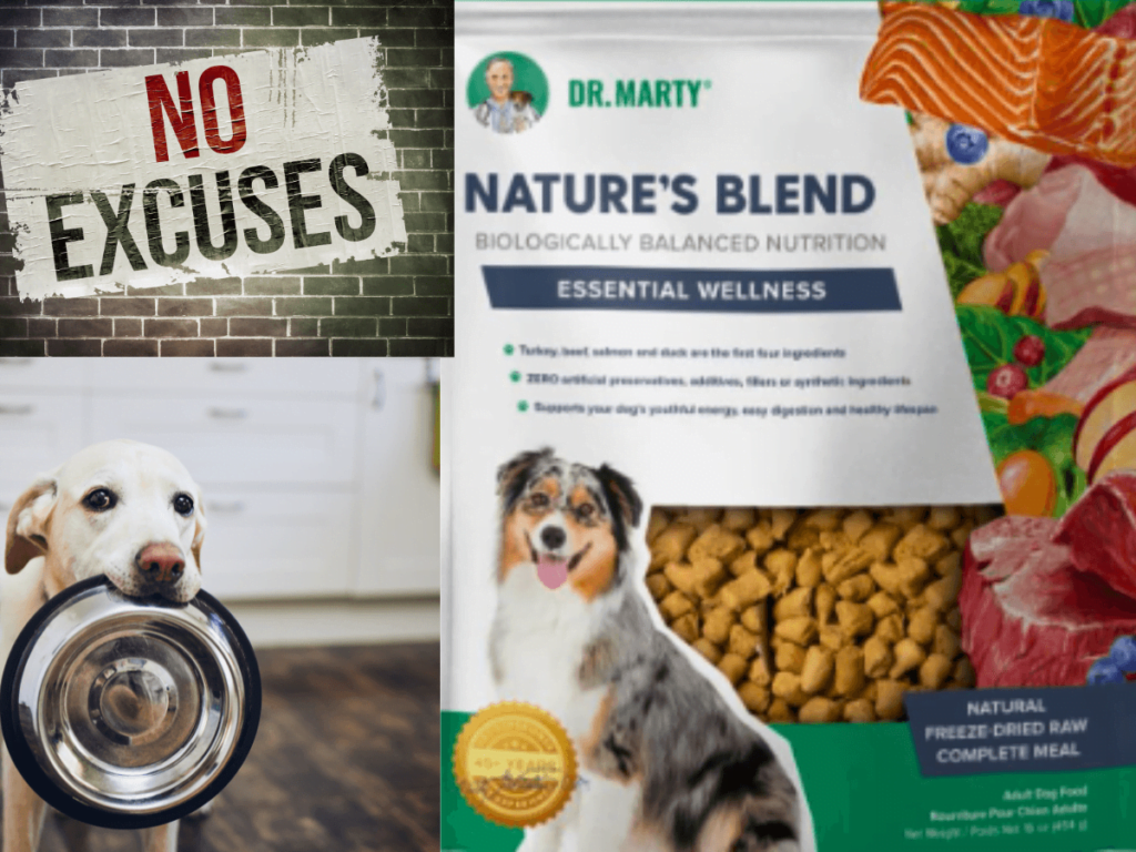 dr-marty-nature's-blend-dog-food