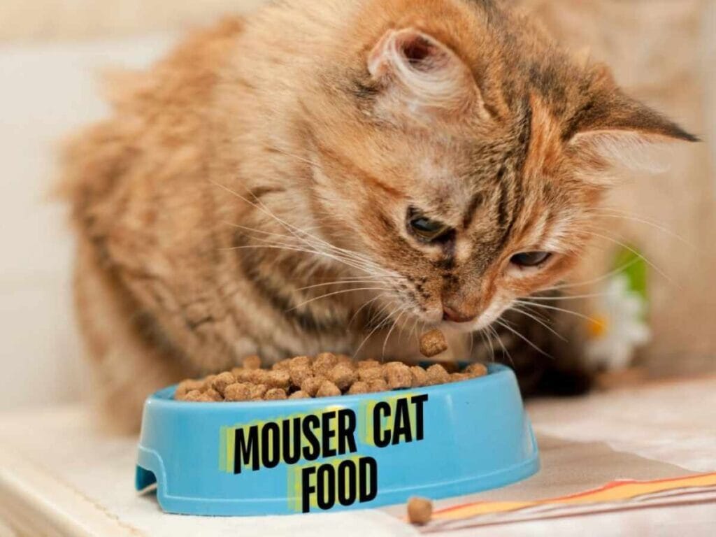 Mouser Cat Food