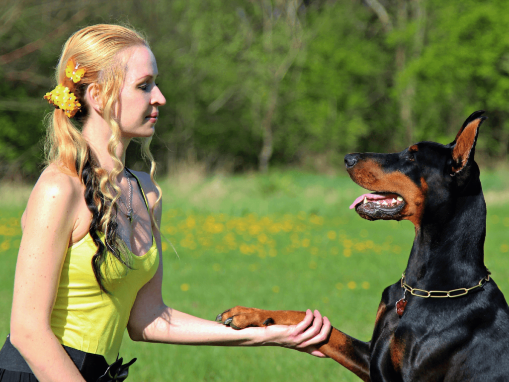 Gentle-Giant-Dog-Food