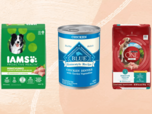 best-cheap-dog-food-brands