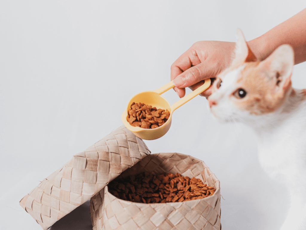 orijen-dry-cat-food