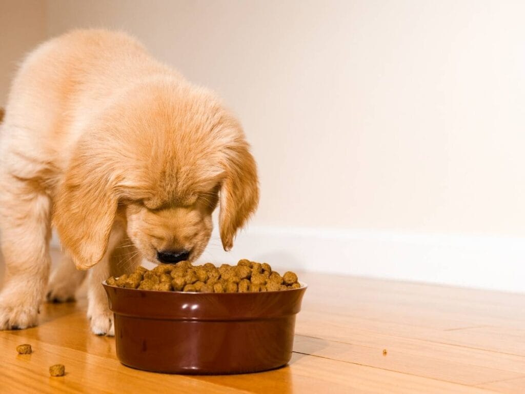 canine brewers yeast for dogs