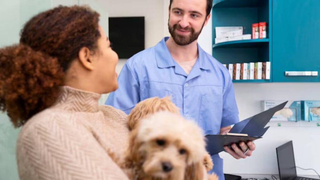 Best Vets for Dogs Near me