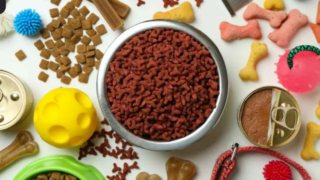 Dog Food for Allergies