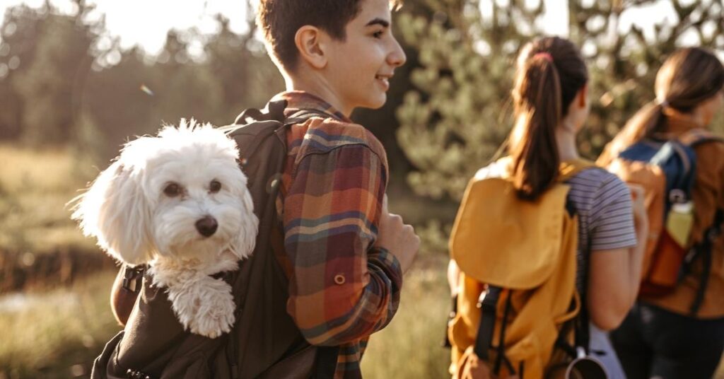 best family dogs