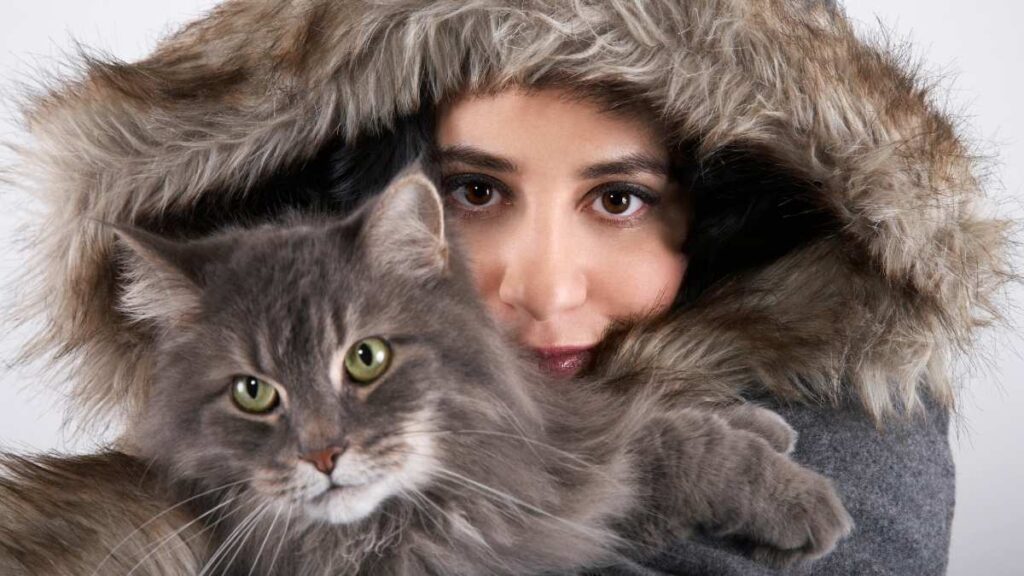 cat fur coat