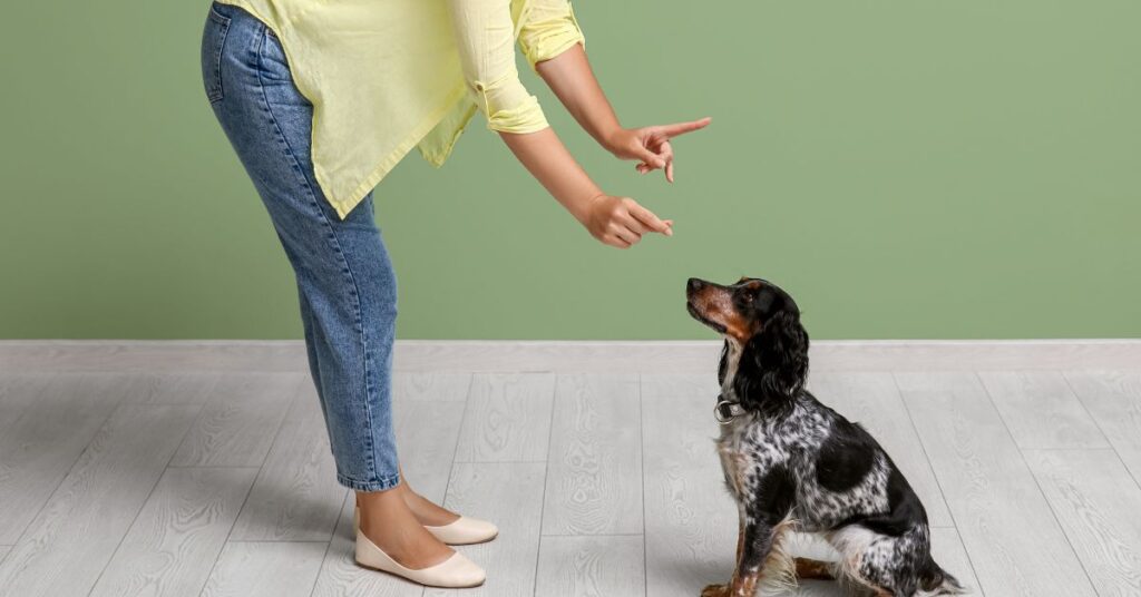 common behaviour of a female dog