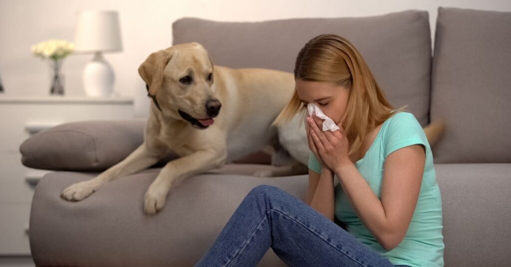 how much benadryl for dogs
