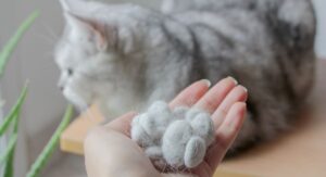cat hair falling out