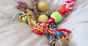 DOG CHEW TOYS