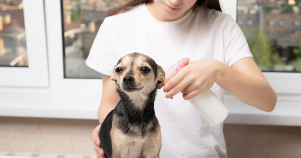 Dog Skin Spray