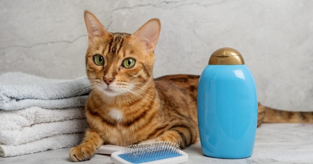 GOOD CAT BRUSH