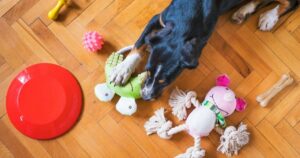 How to clean dog toys