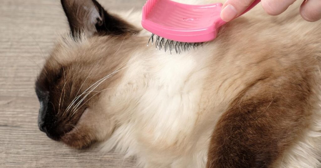 LONG HAIR CAT BRUSH