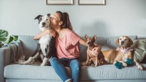 PET SITTING JOBS