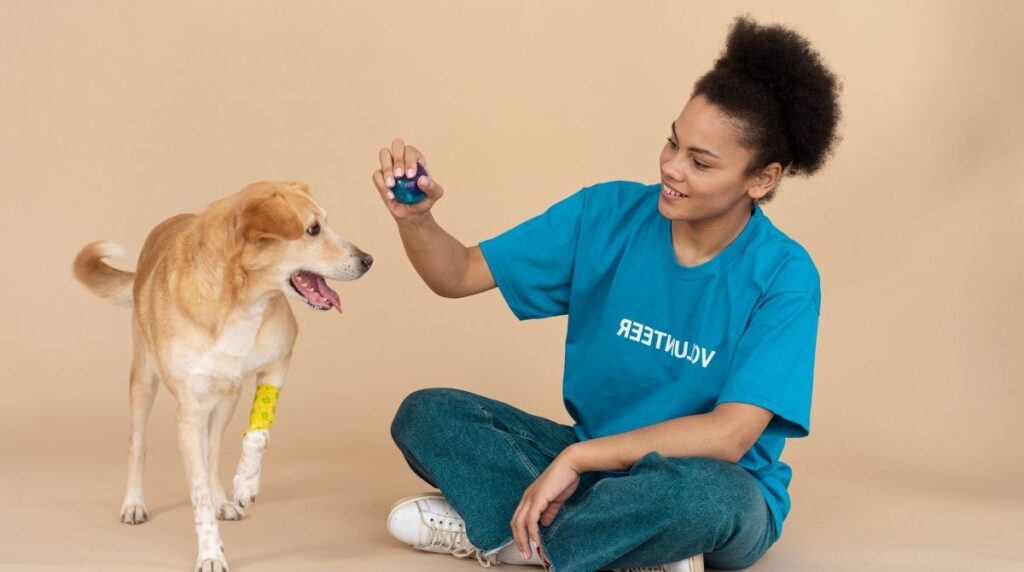 BECOME A PET SITTER