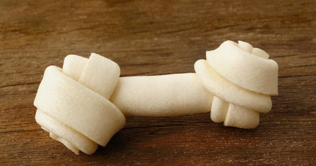 Dog Safe Chew Toys