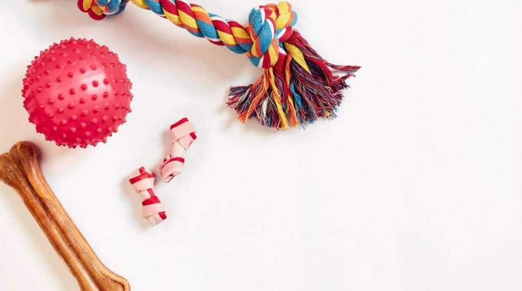 Dog Toys