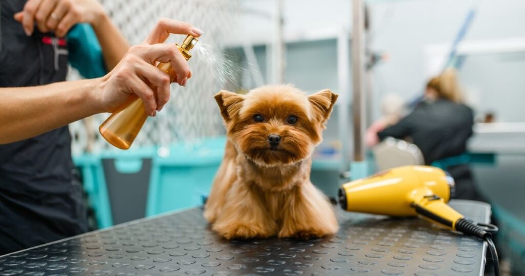 Frontline plus For Dogs