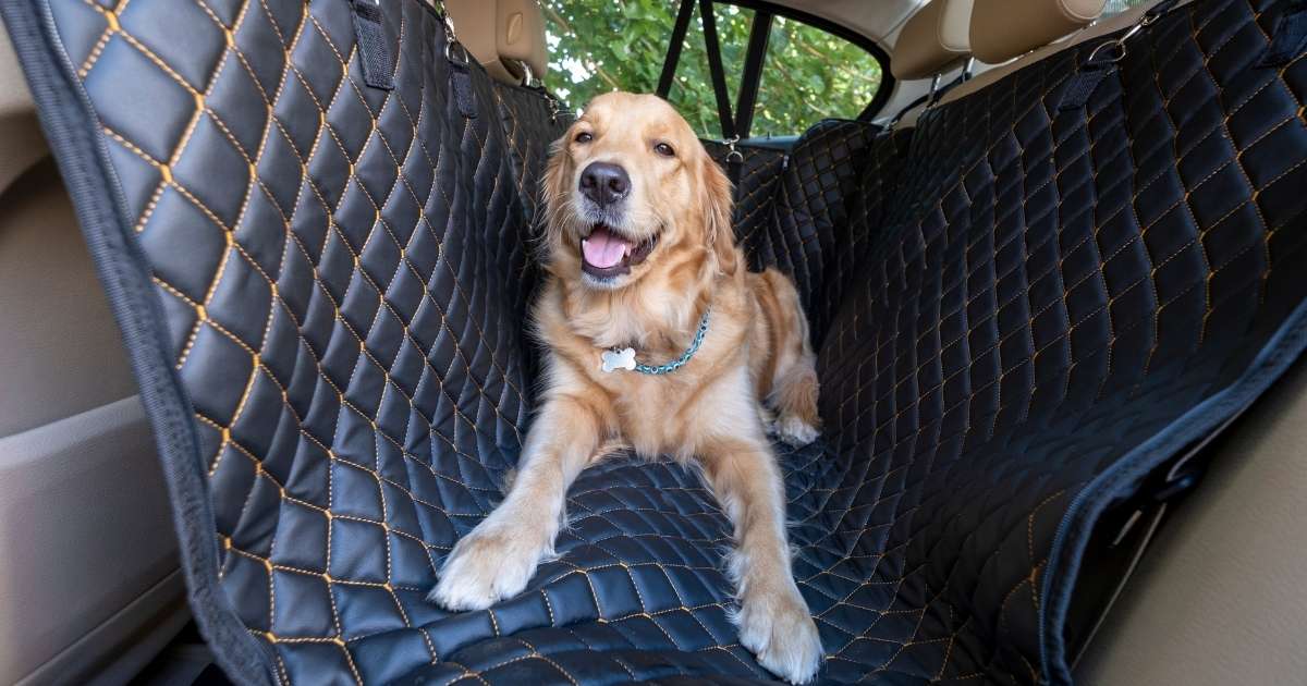 Pet car seat covers