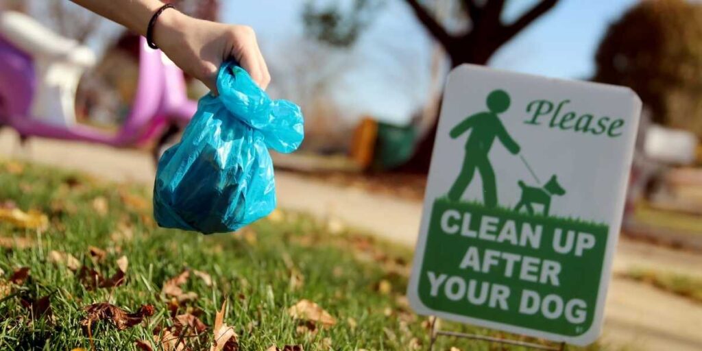 Bag Of Dog Poop