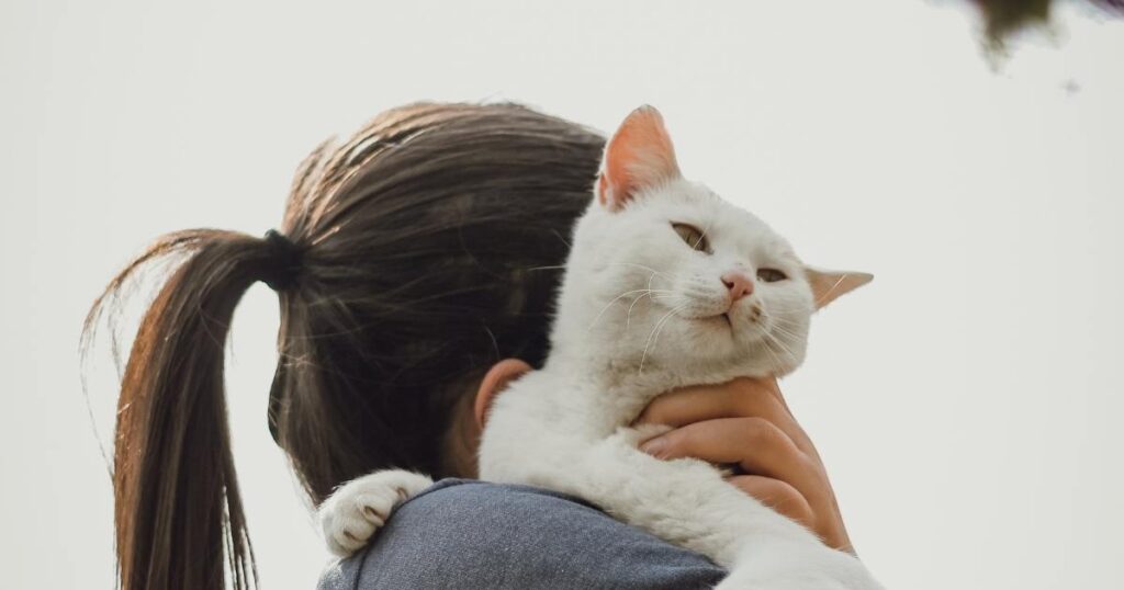 cat dandruff