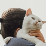 cat dandruff