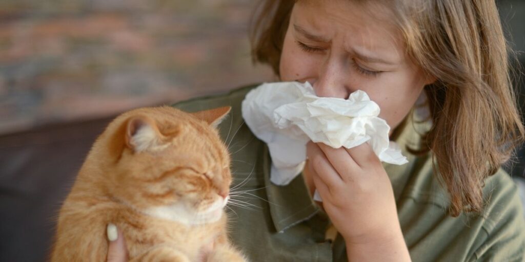 Cats that are hypoallergic