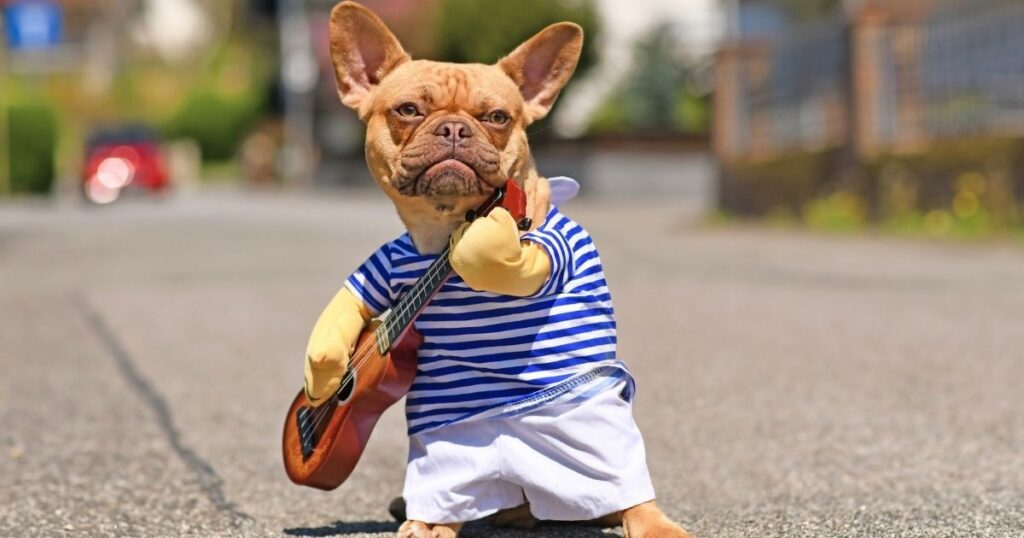Dog Show near me this weekend