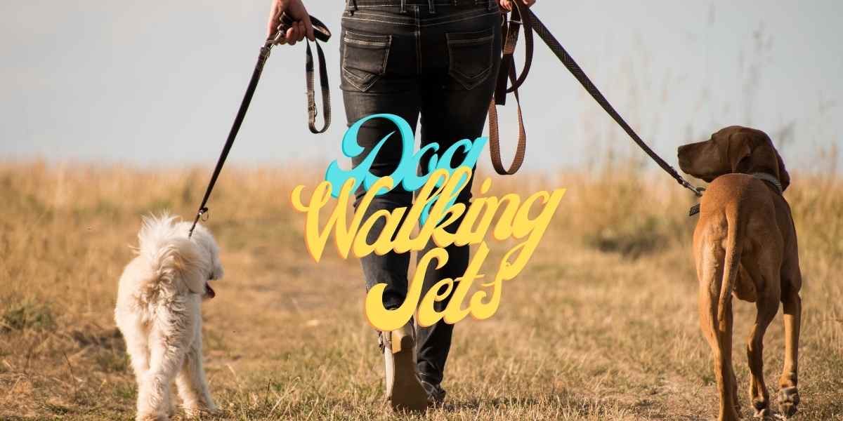 Dog Walking Sets