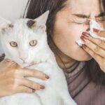 Low allergy cats