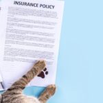 Pet insurance