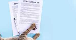 Pet insurance