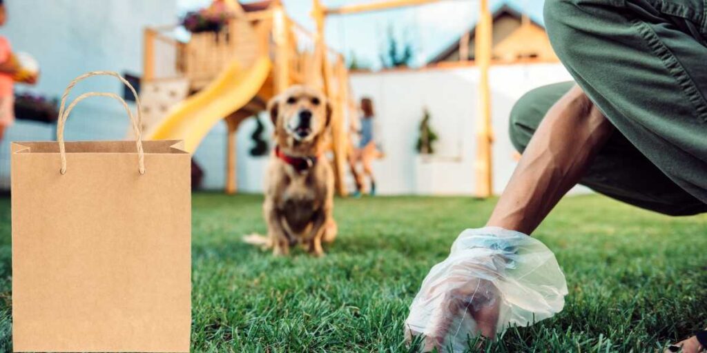 Best Way to dispose of Dog Poop Bags