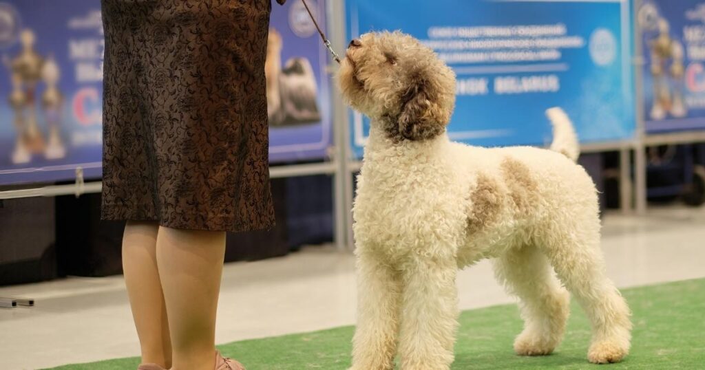 Dog Show San Antonio tx