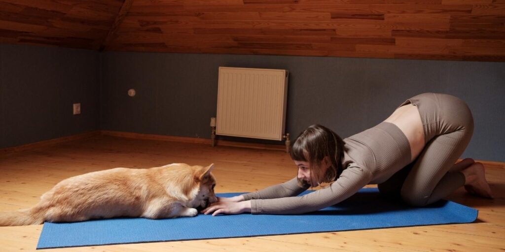 Exercise with Dogs