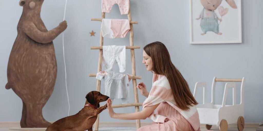 Puppy Training Classes Near me