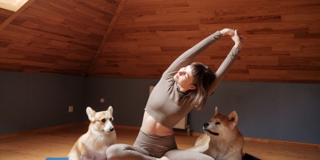 Work out dog