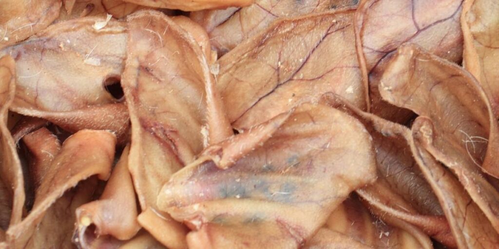 are pig ears safe for dogs