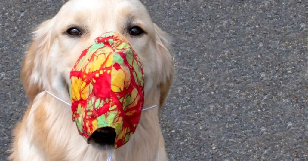 Dog Mask