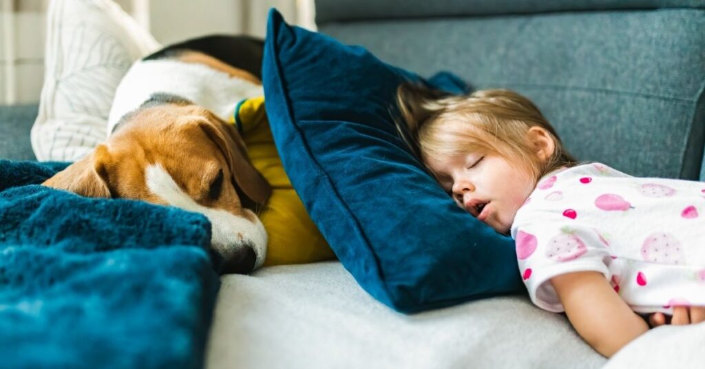 are dogs spiritual protectors