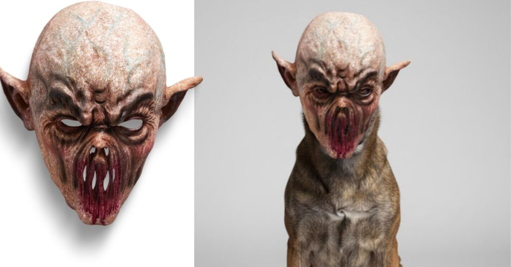 dog with daredevil mask