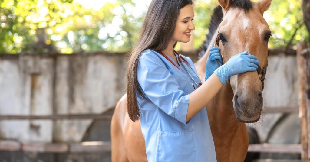 horse with tongue hanging out treatment