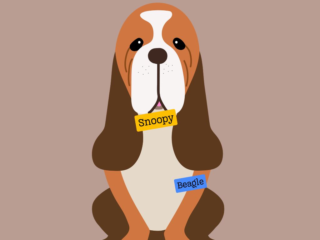 What type of dog is snoopy