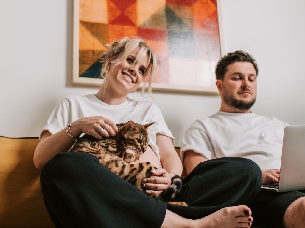 why do cats make biscuits on me